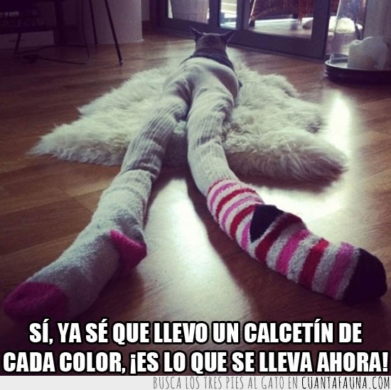 medias,llevar,de cada color,calcetin,calcetines