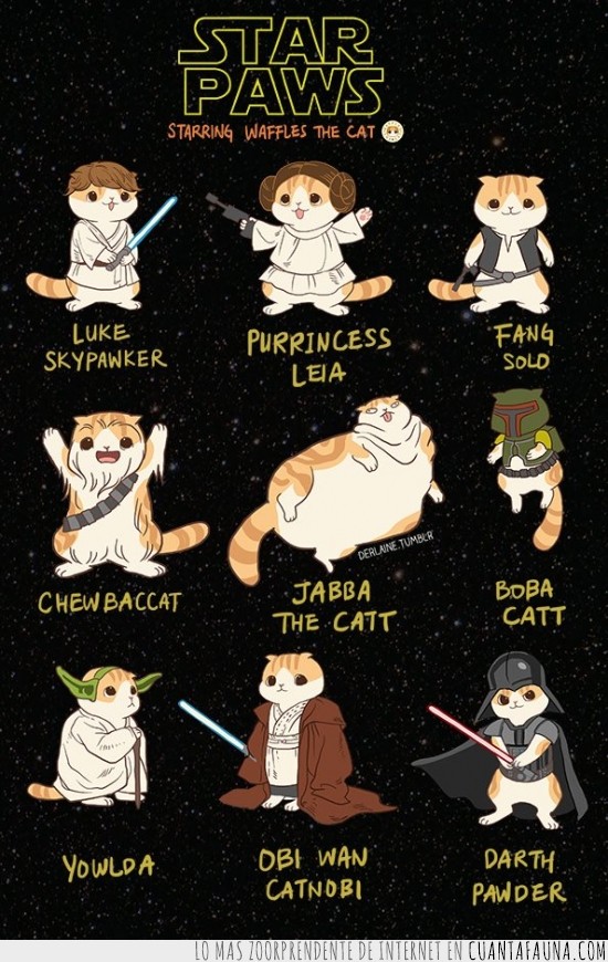 gato,purr,star wars