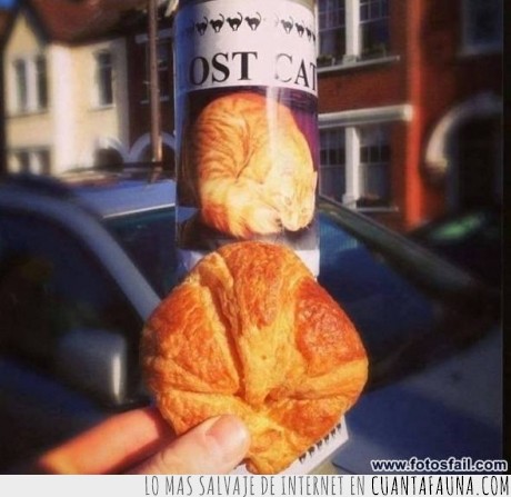 coincidencia,anuncio,comete un croissant,ese croissant,pan,perdido,gato,pokemon