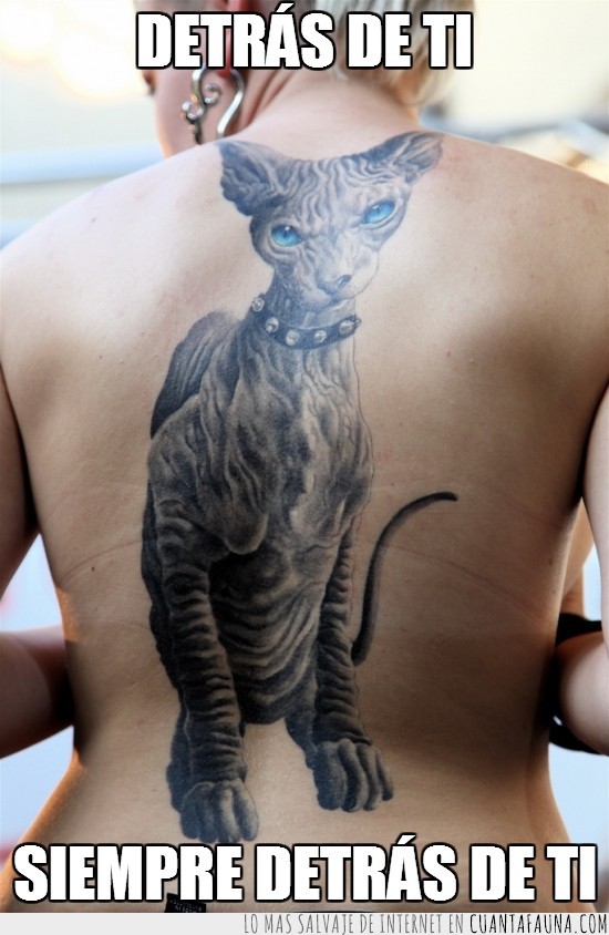 esfinge,sphinx,espalda,tattoo,tatuaje,gato