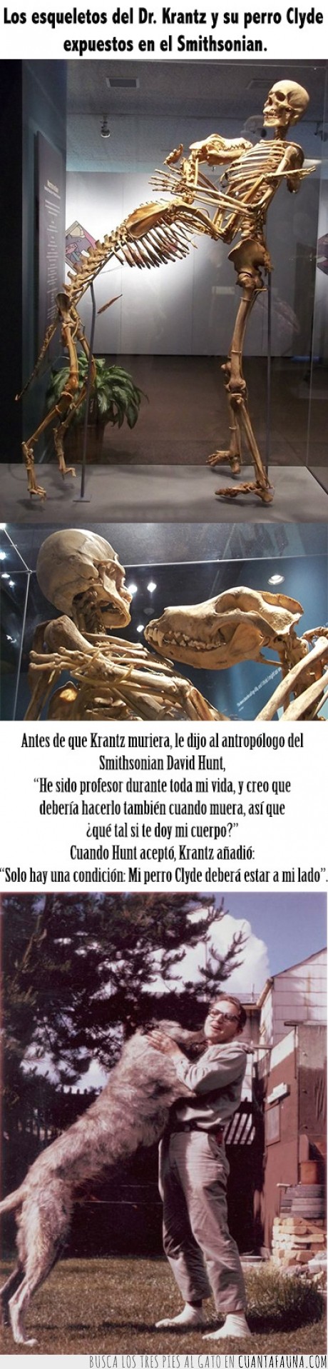 smithsonian,esqueleto,perro,dr.krantz
