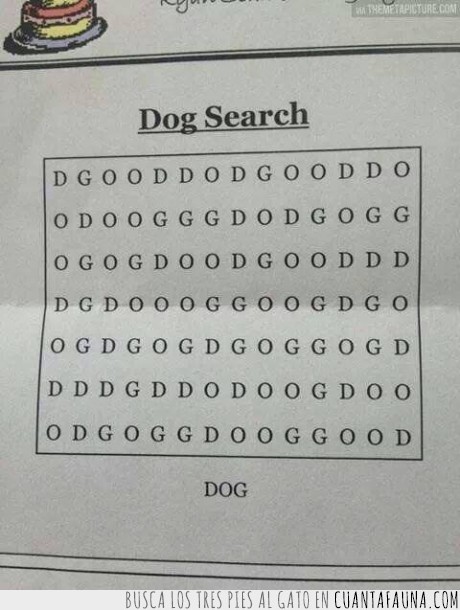 dog,perro,buscar,imposible