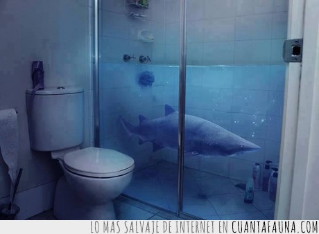 17090 - Un tiburón en la bañera - Impresionantemente realista