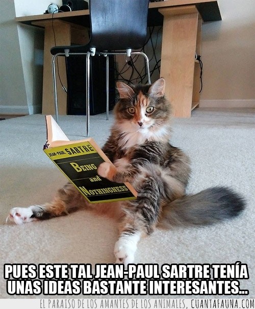 jean-paul sartre,sabio,libro,leer,being y nothingness,gato