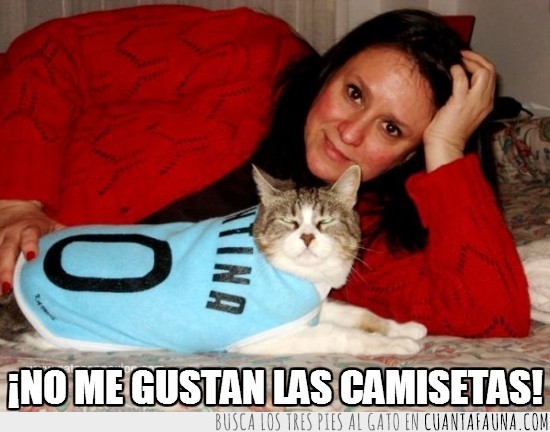 10,argentina,camiseta,humana,gato
