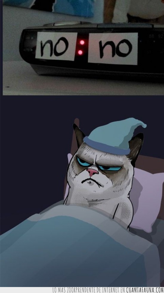 grumpy cat,NO,despertador,angry cat