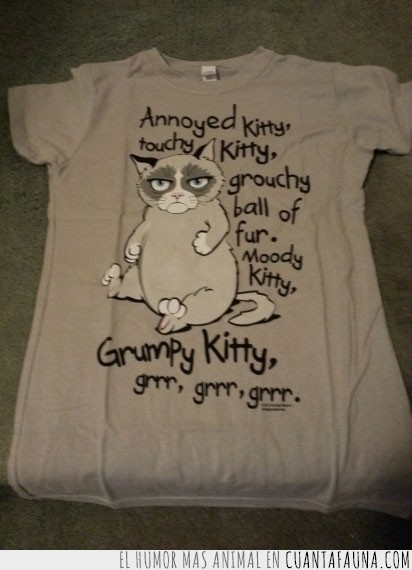 annoyed kitty,soft kitty,the big bang theory,grumpy cat