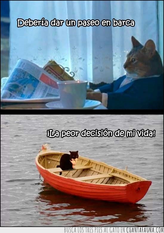mala,decision,paseo,agua,barca