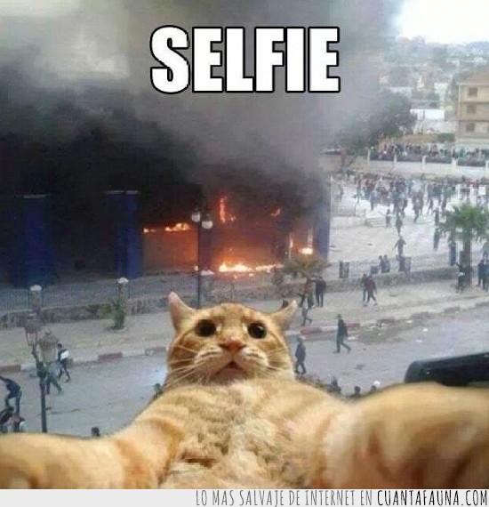 edificio en llamas,foto,y en que momento,Selfie,disturbios,incendio