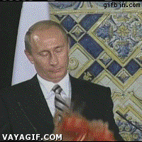 Animal,Vladimir Putin,globo,globoflexia,perrito,montaje