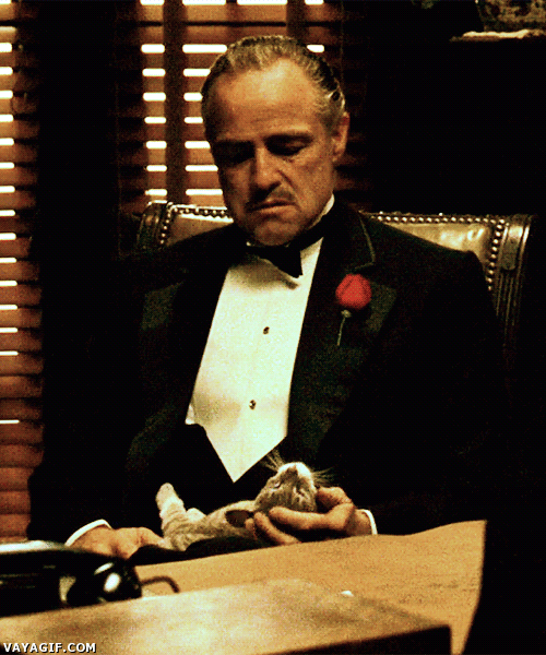 acariciar,dejarse tocar,el padrino,escena improvisada,gato,the godfather,Vito Corleone
