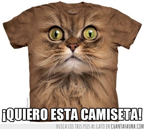 camiseta,cara de gato,bigotes,estampado