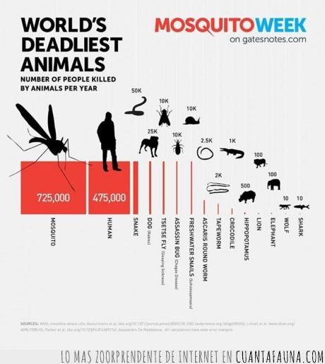 muertes,humano,mosquito,seriente,perro,mosca,insecto,caracol,gusano,cocodrilo,hipopotamo,leon,elefante,lobo,tiburon