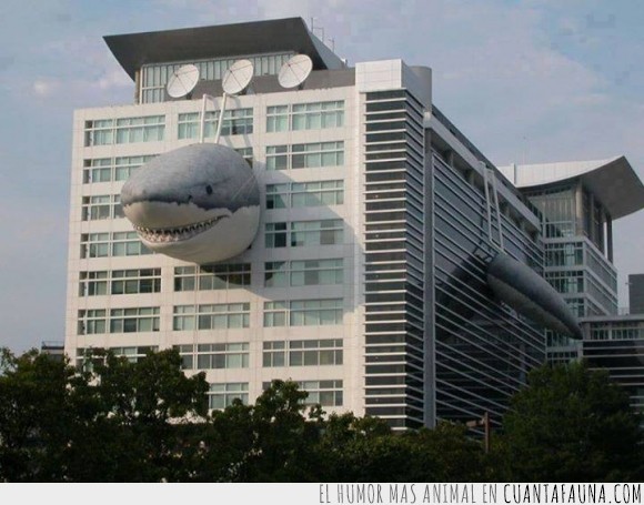 17091 - ¿De qué son estas oficinas con un tiburón? - Las de Discovery Channel sí que valen la pena