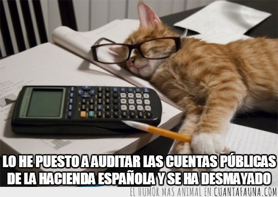 gato,dormir,trabajo,auditar,cuentas publicas,economia,española,desmayado