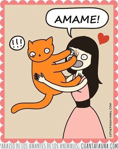 amor,gato,amame,loca,gatos,cat,love,comic