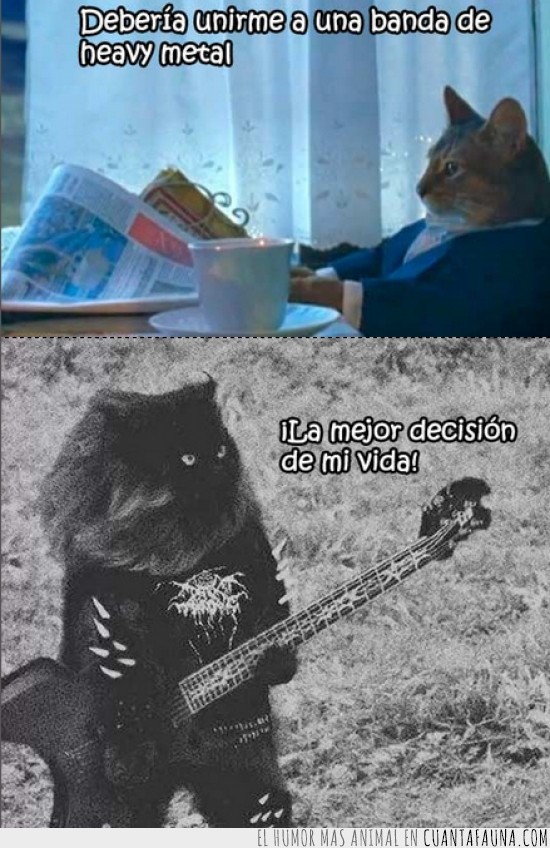heavy metal,gato,guitarra,negro,mejor decision