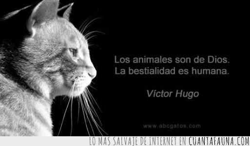 gato,humano,bestialidad,victor hugo,animales