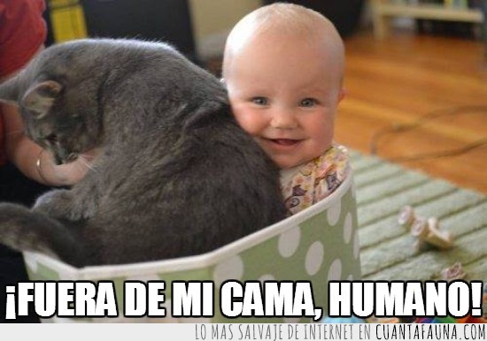 Cama,Humano,Bebe,Sonrisa,Gato,Fuera