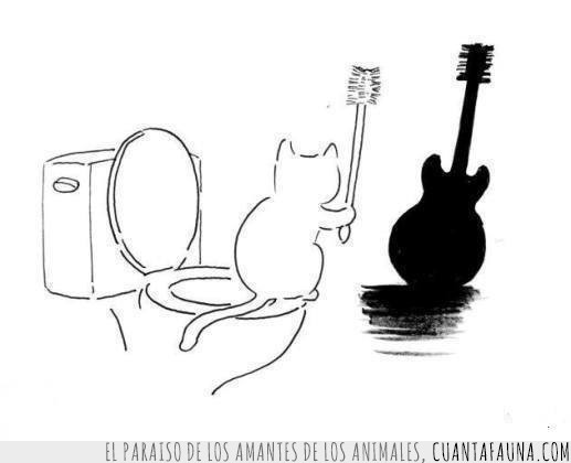 imagen,gato,musica,guitarra,sombra