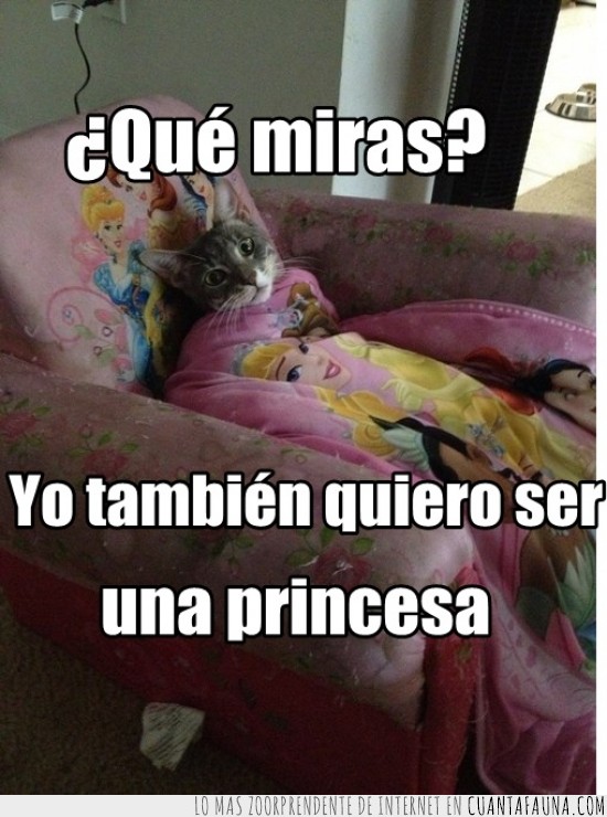princesa.,princesas,Gata