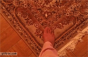 alfombra,flipando,gato,suelo,sustos