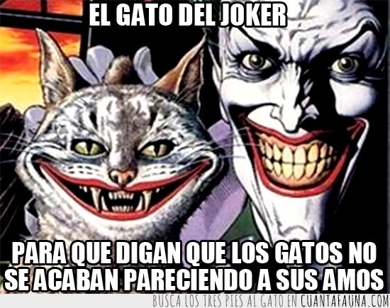 gato,joker,batman,sonrisa,pintado,comics