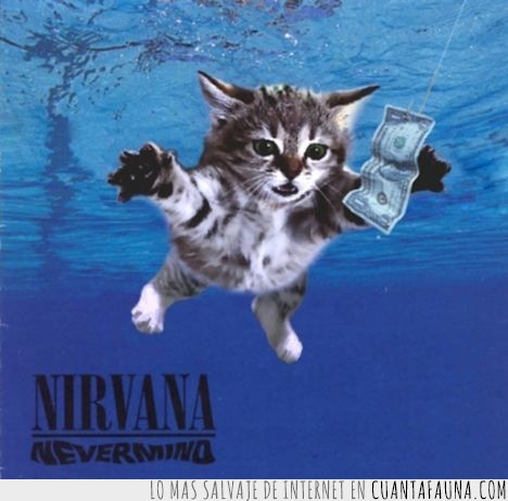 Kurt Cobain,Nevermind,Nirvana,Billete,Gatito