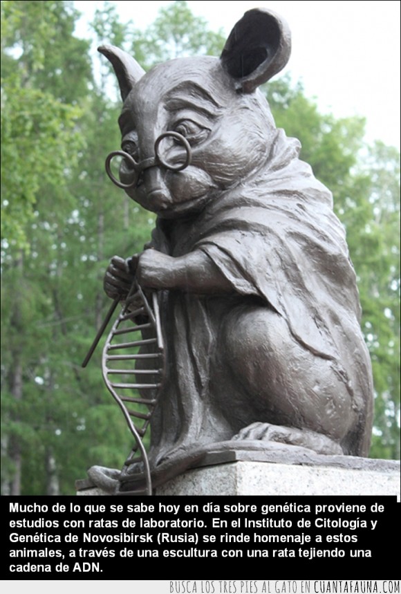 genetica,ciencia,ADN,anonimo,heroe,laboratorio,raton,rata,estatua,monumento,escultura,rusia