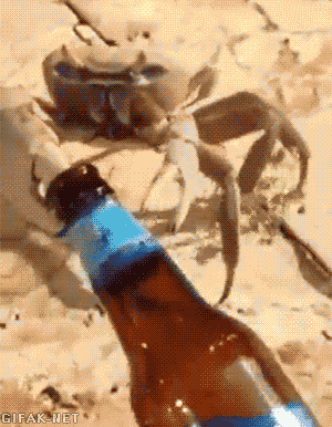 botella,cerveza,cangrejo uso robo. es muy eficaz,cangrejo