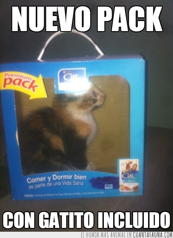 pack,premium,incluido,gato,cachorro,caja