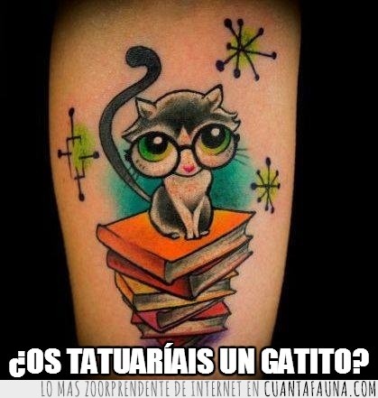 tatuaje,gato,libros,bonito,piel
