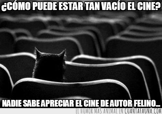 cine de autor,vacío,gato,cine,asientos,peli,felino