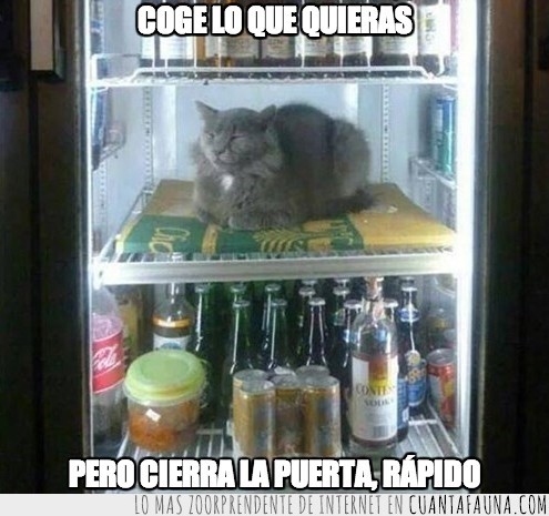 nevera,cervezas,frigorífico