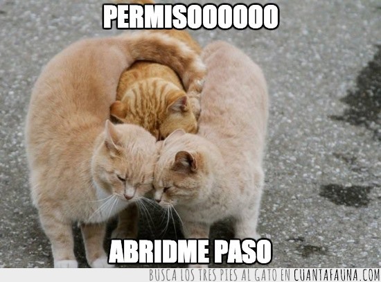 11887 - Permisooooooo