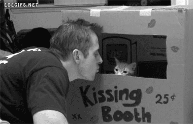 besar,beso,caja,gato,humano,kissing booth