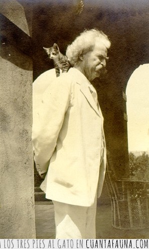 amor,Gatos,Mark Twain
