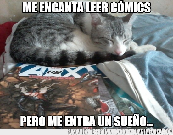 Mi gato Dexter,Historietas,AvsX,leer,dormir,siesta,comics