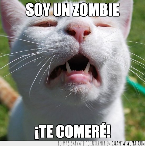 the walking dead,¡estamos muertos!,gato zombie,comer