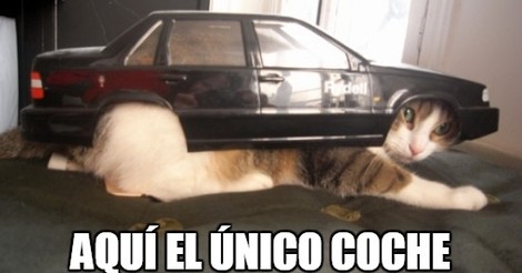 Cuanta Fauna Kitt El Coche Fantastico