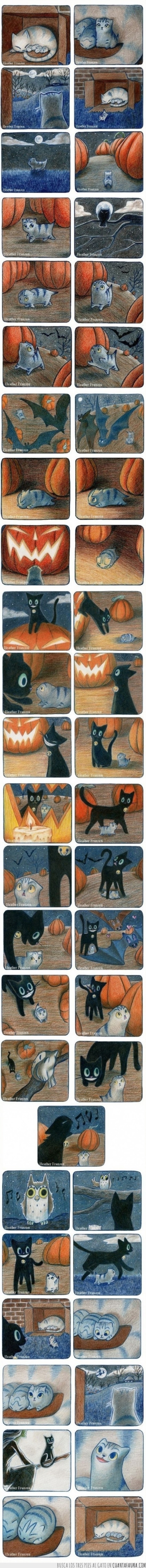 halloween,bruja,gato negro,madre,gato,gatito,superar,miedo