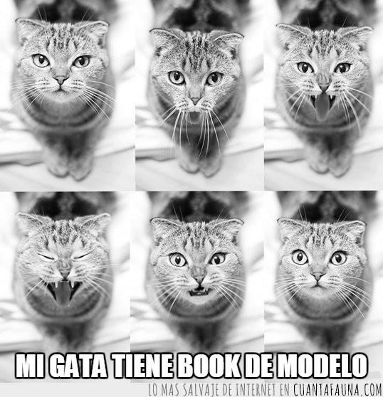 12715 - Todo un book de modelo