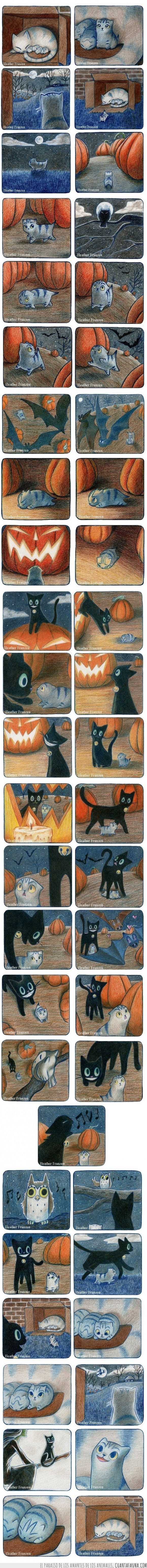 Gato,miedo,halloween,noche,amigo,amistad