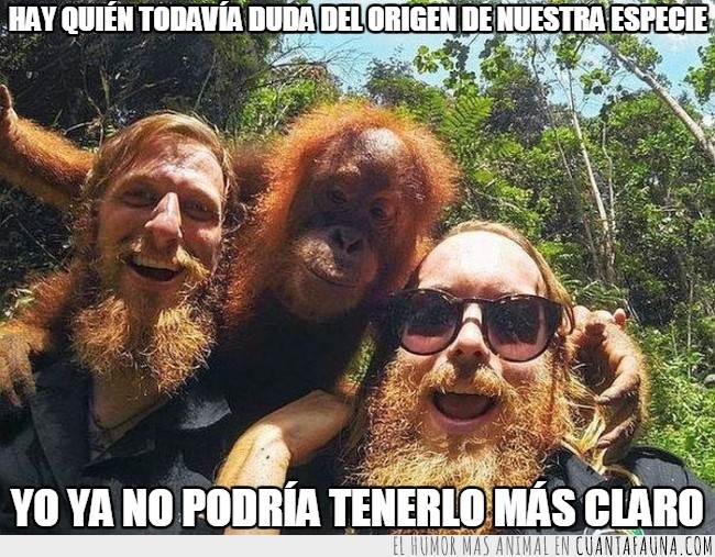 foto,humanos,orangutan,simio,selfie,mono,darwin aprueba esta imagen,origen comun