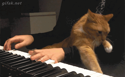 tocar,piano,molestar,intentar hacerle parar,incordiar,gato,encima
