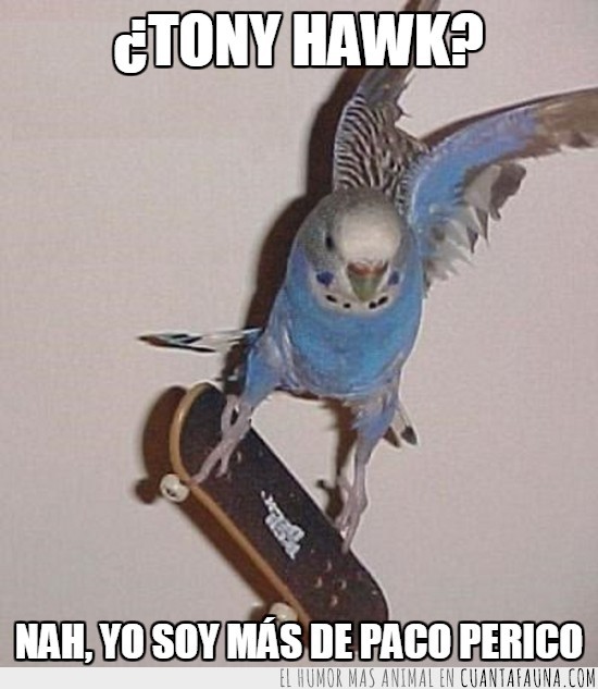 perico,periquito,skater,tony hawk significa antonio halcón,paco perico,monopatin,skate