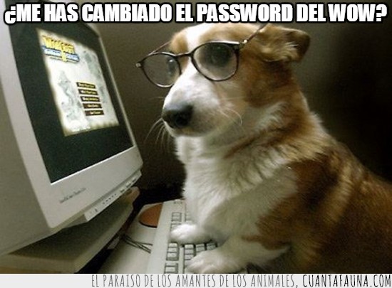 amigo,wow,world of warcraft,cambiar,password,contraseña,perro con gafas