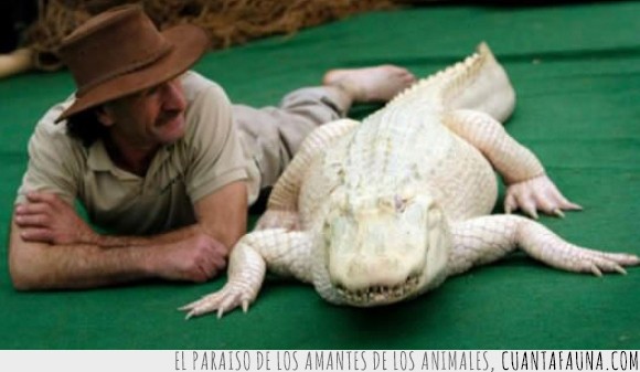 23054 - 15 animales albinos, un curioso capricho de la naturaleza