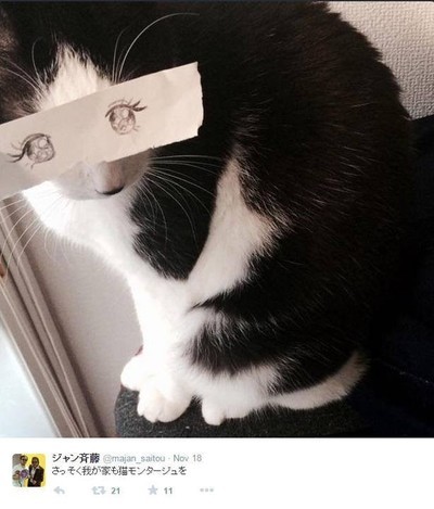 23245 - Japoneses y sus gatos con ojos estilo manga