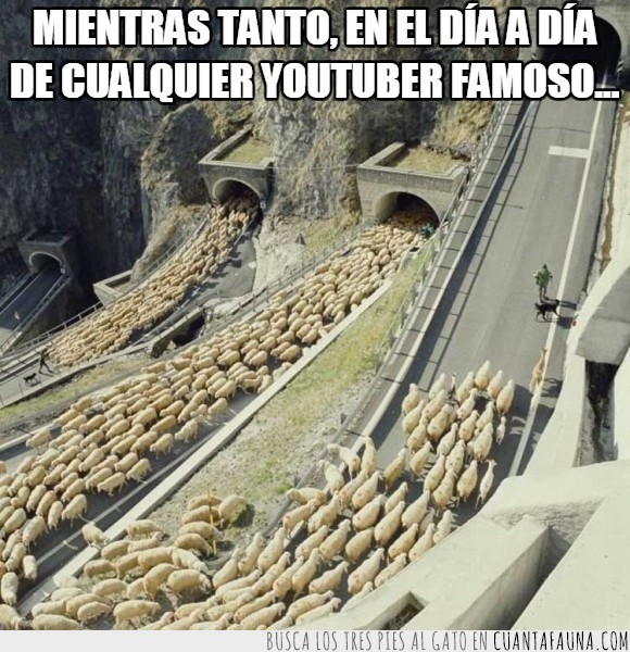 Italia,ovejas,paso de San Boldo,tráfico,túnel,tuneles,youtuber,famoso